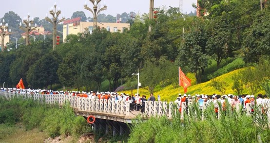图片8.jpg 图片8.jpg