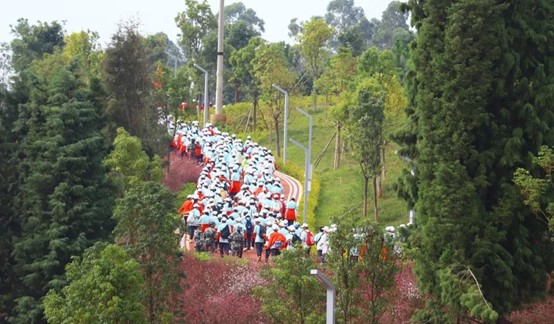 图片10.jpg 图片10.jpg