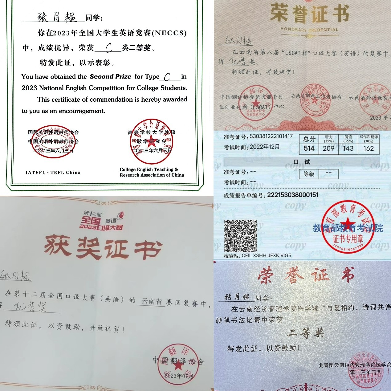 【榜样的力量】云南经济管理学院2023年度国家奖学金获得者个人事迹分享（第二十一期） 第 6 张
