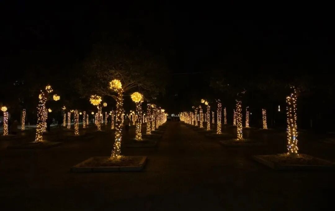 期末压力调适指南:给努力中的你一份“心理暖方” 第 2 张 期末压力调适指南:给努力中的你一份“心理暖方” 第 2 张