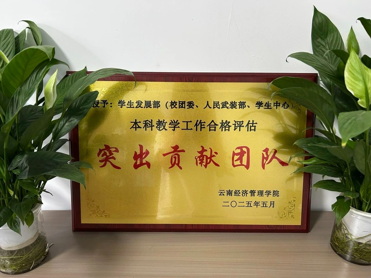 【喜报】学生发展部荣获本科教学合格评估