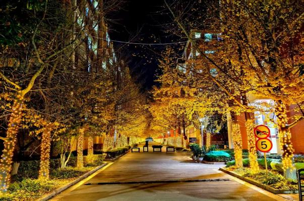 学生工作周报（第32期） 第 17 张