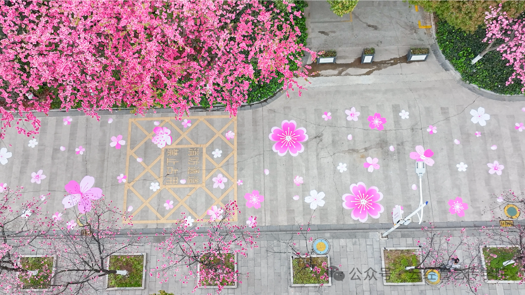 微信图片_2026-03-20_202608_571.png 微信图片_2026-03-20_202608_571.png