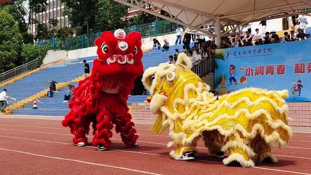 清凉暴击！云经管学生社区文化节，全员 “湿” 放快乐 第 4 张